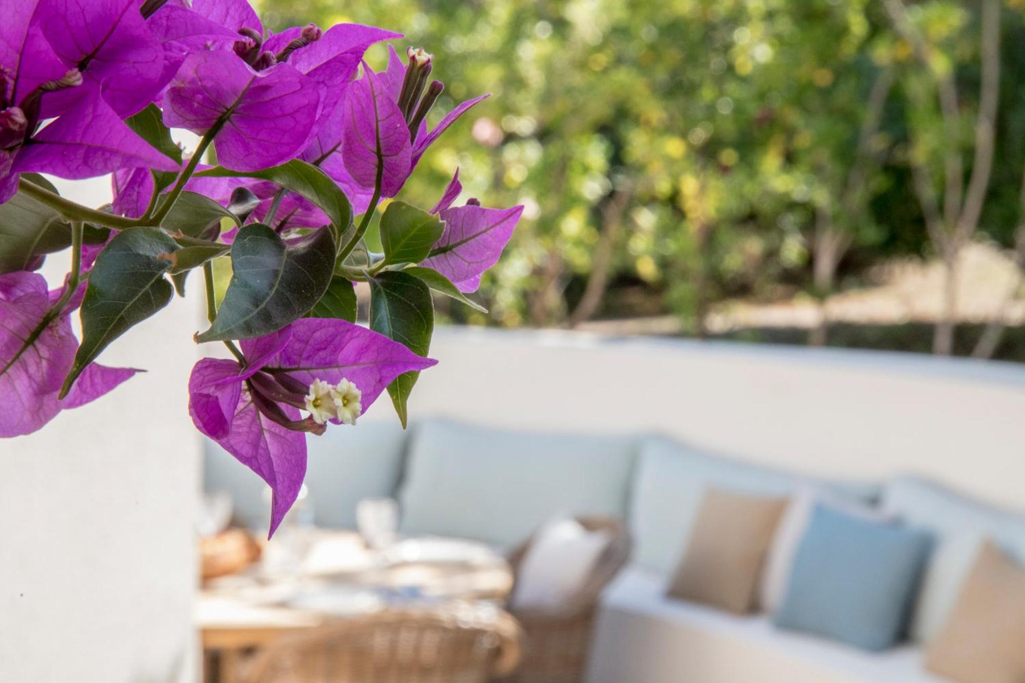 Boutique Hotel Chateau Rouher Propriano  Kültér fotó